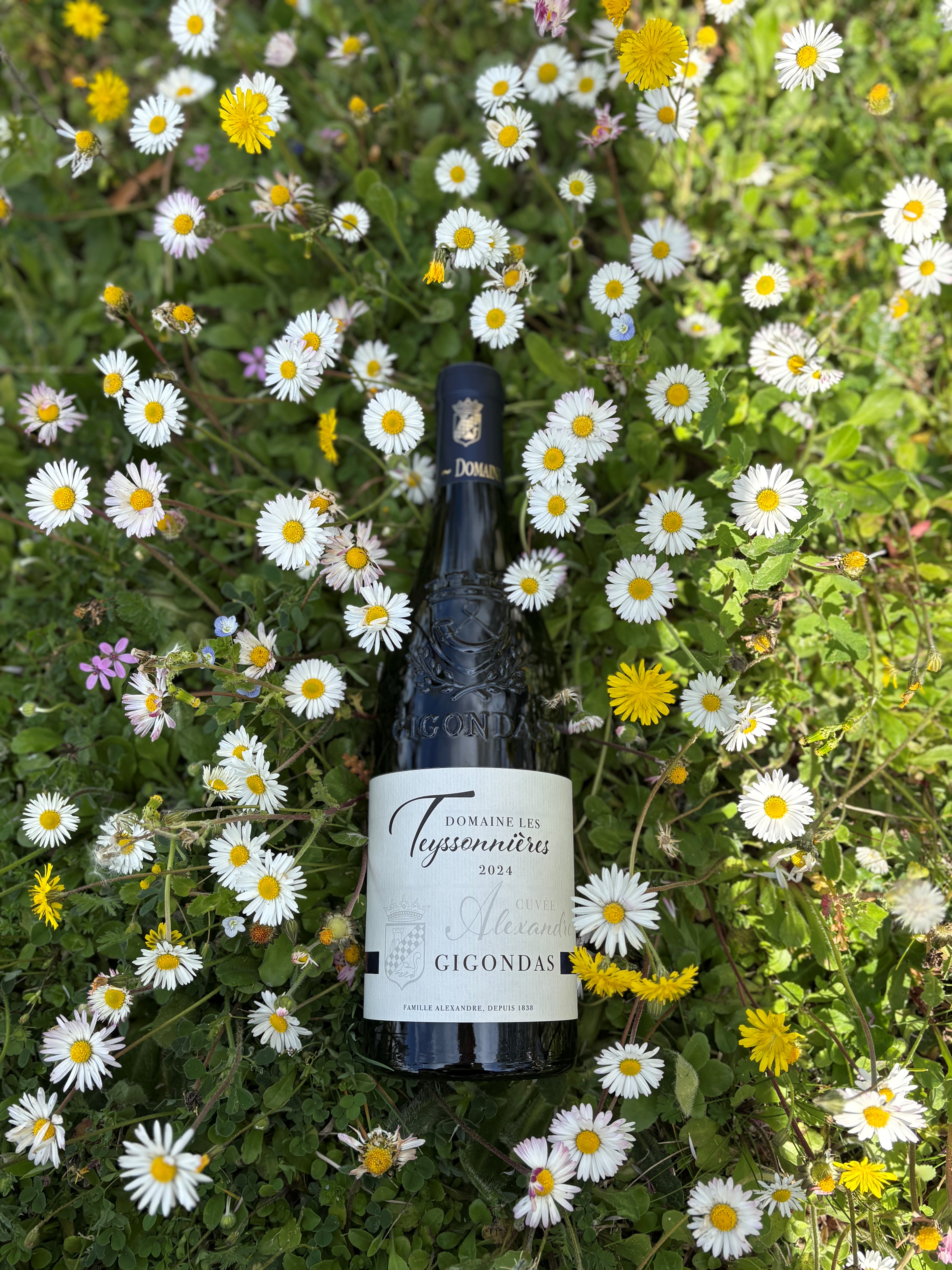cuv&eacute;e alexandre gigondas printemps_fleurs